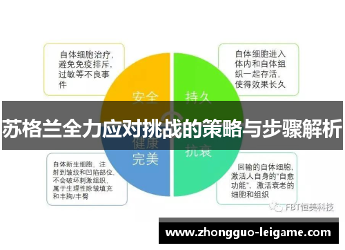 苏格兰全力应对挑战的策略与步骤解析