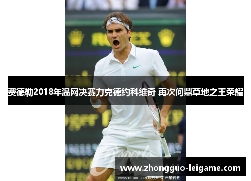 费德勒2018年温网决赛力克德约科维奇 再次问鼎草地之王荣耀