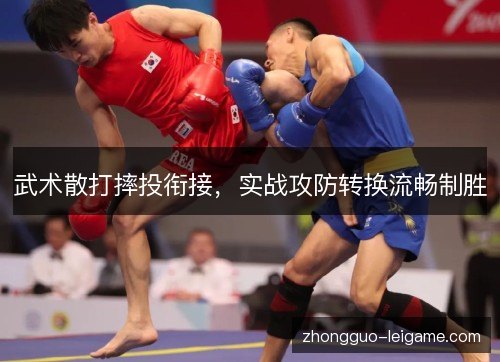 武术散打摔投衔接,实战攻防转换流畅制胜 武术散打摔投衔接,实战攻防转换流畅制胜